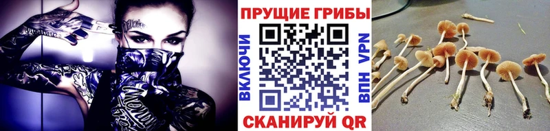 Купить где  Когалым  Псилоцибиновые грибы мухоморы 